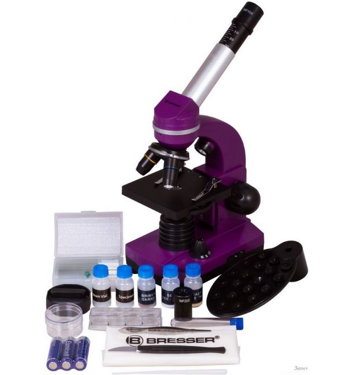 Детский микроскоп Bresser Junior Biolux SEL 40–1600x 74321 (фиолетовый)