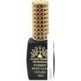  Global Fashion Strong Long Lasting Base Coat 12 