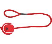Игрушка для собак Trixie Тенисный шар на верёвке, цвет в ассортименте (3479)