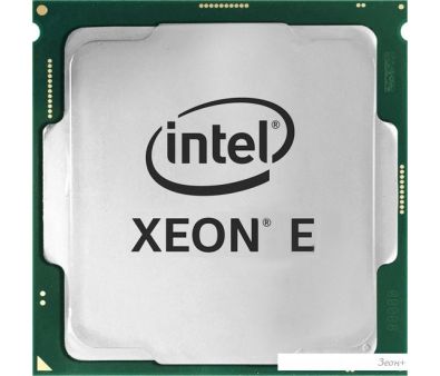  Intel Xeon E-2324G