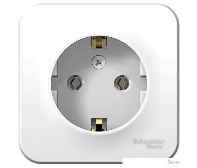  Schneider Electric Blanca BLNRS001017