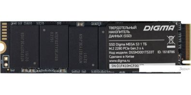 SSD Digma Mega S3 1TB DGSM3001TS33T