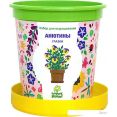 Набор для опытов Happy plant Анютины глазки hpn-9