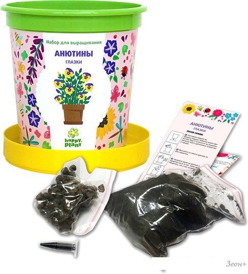 Набор для опытов Happy plant Анютины глазки hpn-9