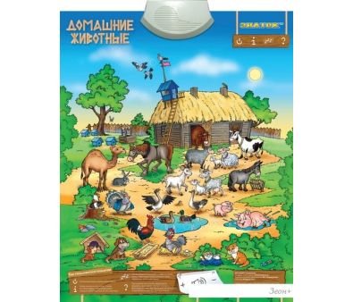      70084