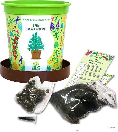 Набор для опытов Happy plant Ель необыкновенная hpn-10