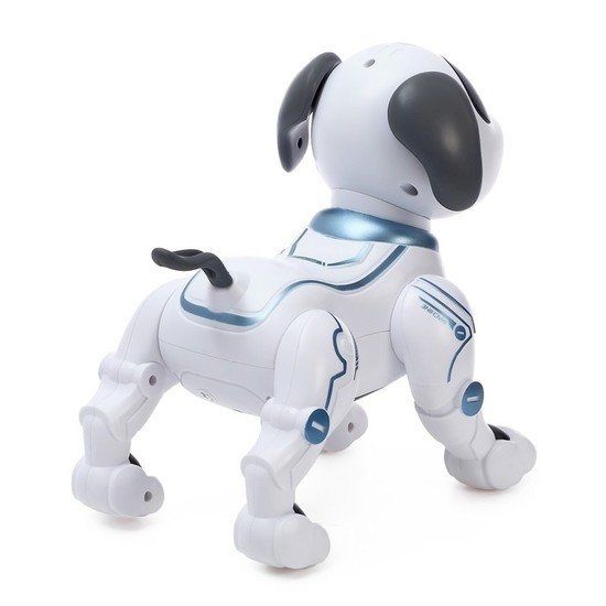 Интерактивная игрушка IQ Bot Дружок-трюкач 6905685