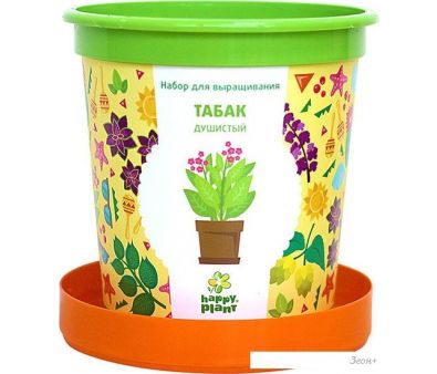    Happy plant   hpn-11