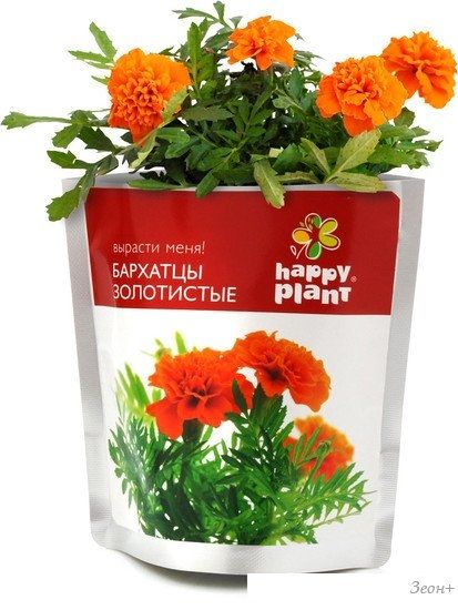Набор для опытов Happy plant Бархатцы золотистые hpn-30