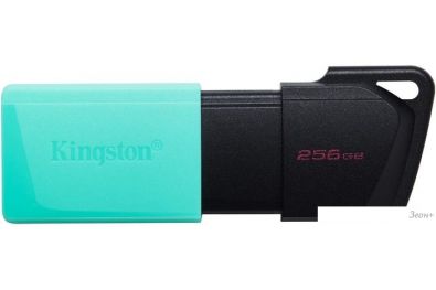 USB Flash Kingston DataTraveler Exodia M 256GB [DTXM/256GB]