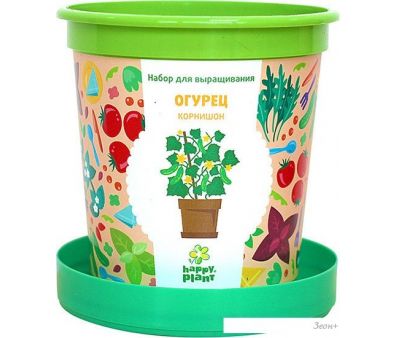    Happy plant   hpn-19