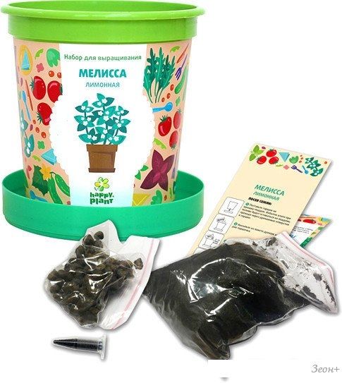 Набор для опытов Happy plant Мелисса лимонная hpn-4