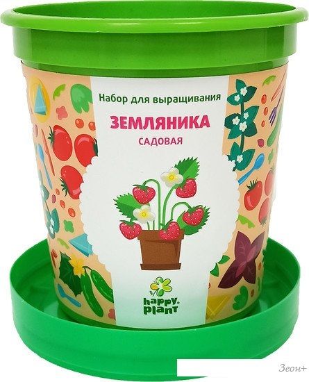 Набор для опытов Happy plant Земляника садовая hpn-26