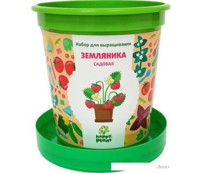    Happy plant   hpn-26