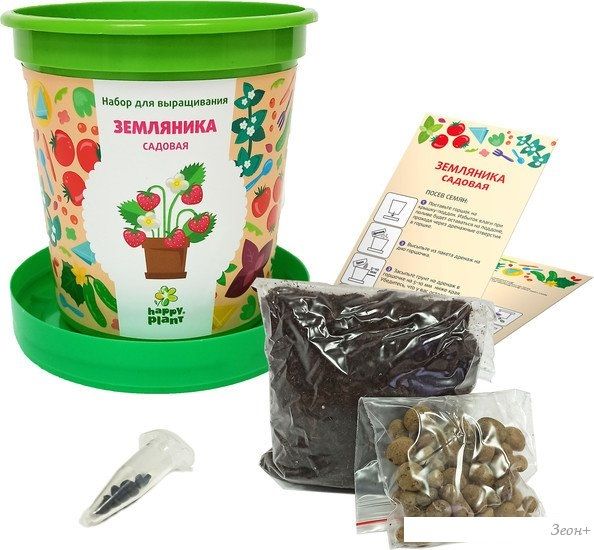 Набор для опытов Happy plant Земляника садовая hpn-26