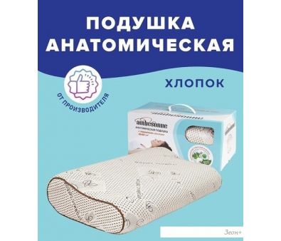   Ambesonne   60x40 plortorc-01