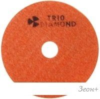 Шлифовальный круг Trio Diamond 350050