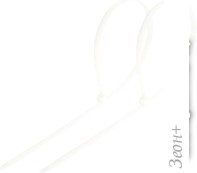    Rexant 07-0250 (100 )