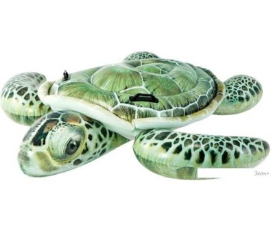   Intex Realistic Sea Turtle Ride-on 57555