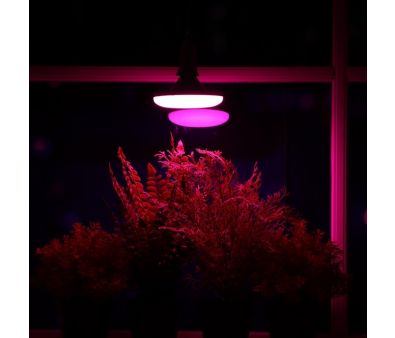  , UFO, E27, 16 , IP20, 220 , d=120 , 120, 