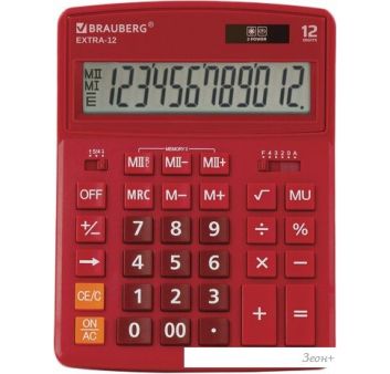   BRAUBERG Extra 12-WR 250484 ()