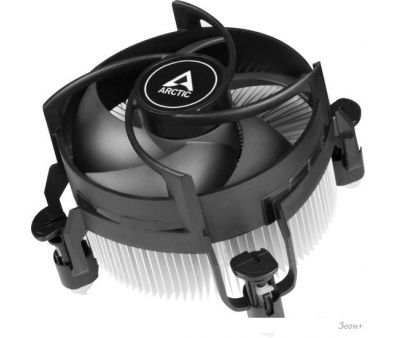    Arctic Alpine 17 CO ACALP00041A