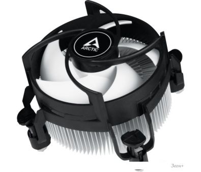    Arctic Alpine 17 ACALP00040A