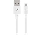  Cablexpert CC-USB2P-AMmBM-1M-W