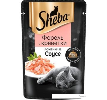  Sheba   .    75 