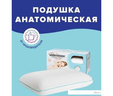   Ambesonne  60x40 plortoo-18