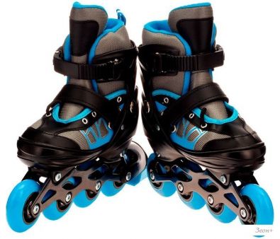   Favorit 8803-L-BL (. 38-41)