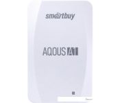   Smart Buy Aqous A1 SB128GB-A1W-U31C 128GB ()
