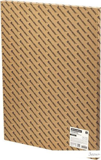 Пенокартон BRAUBERG матовая 50x70 370 г/м2 5 л 112471
