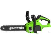   Greenworks GD24CS30 ( 1-  4Ah)