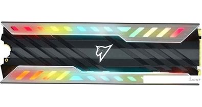 SSD Netac NV3000 RGB 500GB NT01NV3000RGB-500-E4X