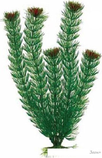 Искусственное растение Barbus Амбулия Plant 002/30 (зеленый)