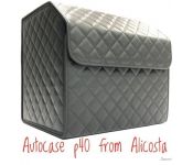   Alicosta P40 (  , )