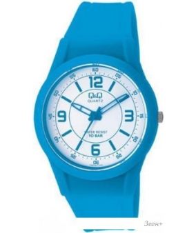 Наручные часы Q&Q VQ50J019