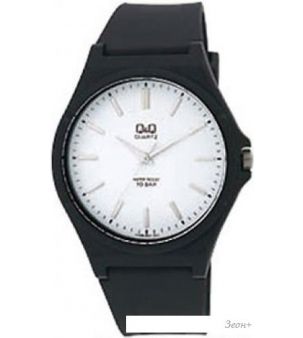 Наручные часы Q&Q VQ66J001
