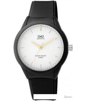 Наручные часы Q&Q VR28J003