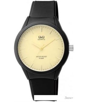 Наручные часы Q&Q VR28J005