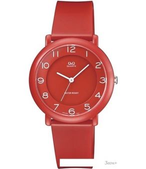 Наручные часы Q&Q VQ94J024