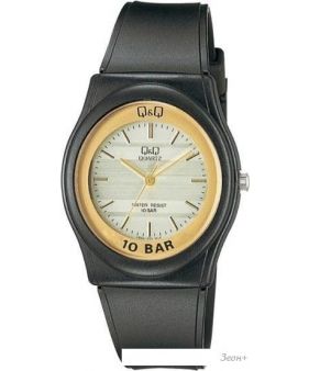Наручные часы Q&Q VP22J013