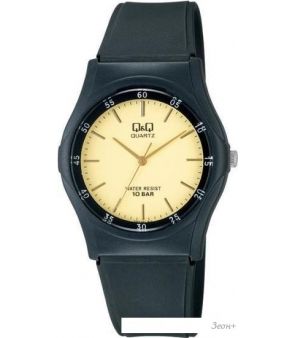 Наручные часы Q&Q VQ04J001