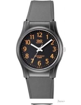 Наручные часы Q&Q VQ02J012