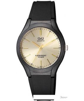 Наручные часы Q&Q VR72J001