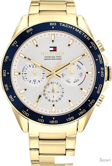 Наручные часы Tommy Hilfiger Owen 1791969