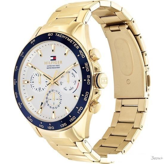 Наручные часы Tommy Hilfiger Owen 1791969