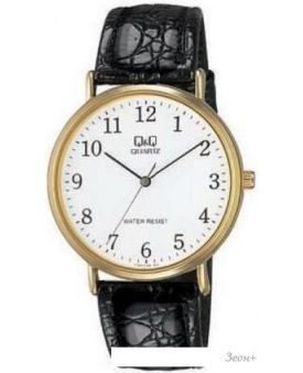 Наручные часы Q&Q V720J104