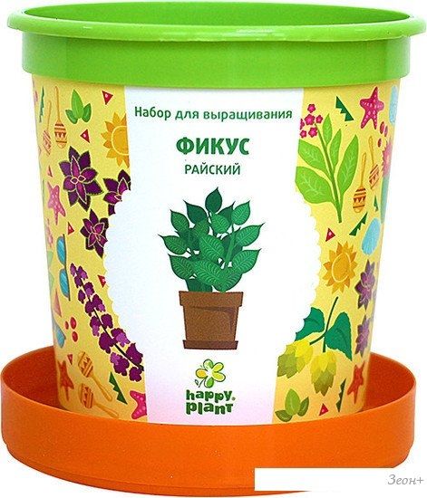 Набор для опытов Happy plant Фикус райский hpn-12